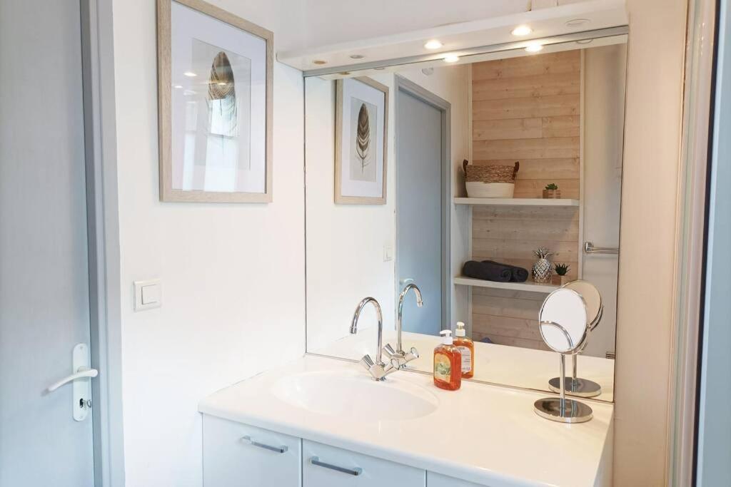 Oo Le Jardin Oo Paisible Studio Equipe Et Bien Place Quimper Dış mekan fotoğraf