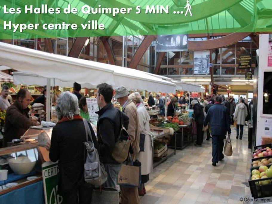 Oo Le Jardin Oo Paisible Studio Equipe Et Bien Place Quimper Dış mekan fotoğraf