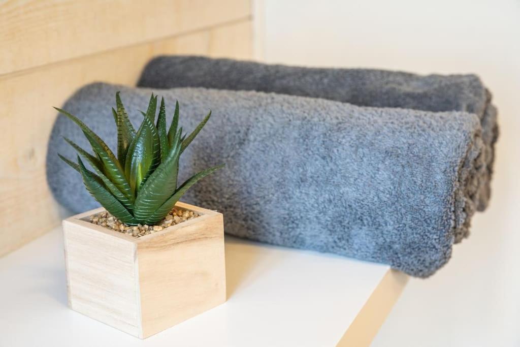 Oo Le Jardin Oo Paisible Studio Equipe Et Bien Place Quimper Dış mekan fotoğraf