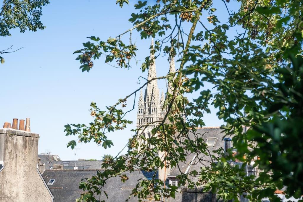 Oo Le Jardin Oo Paisible Studio Equipe Et Bien Place Quimper Dış mekan fotoğraf